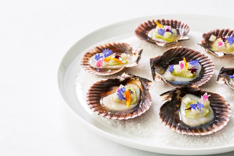 Cured Scallop Canapé Recipe Great British Chefs