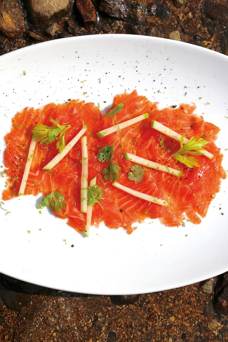 Cured Trout Recipe Great British Chefs