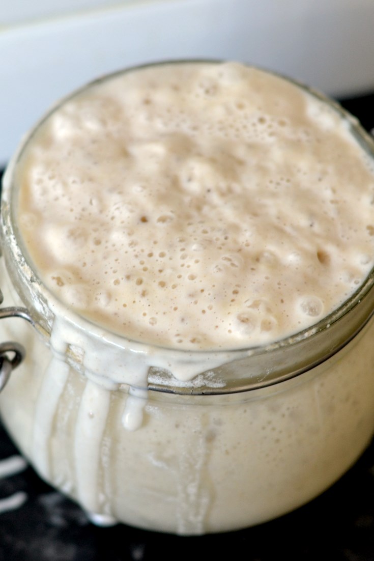 Sourdough Starter Recipe - Great British Chefs