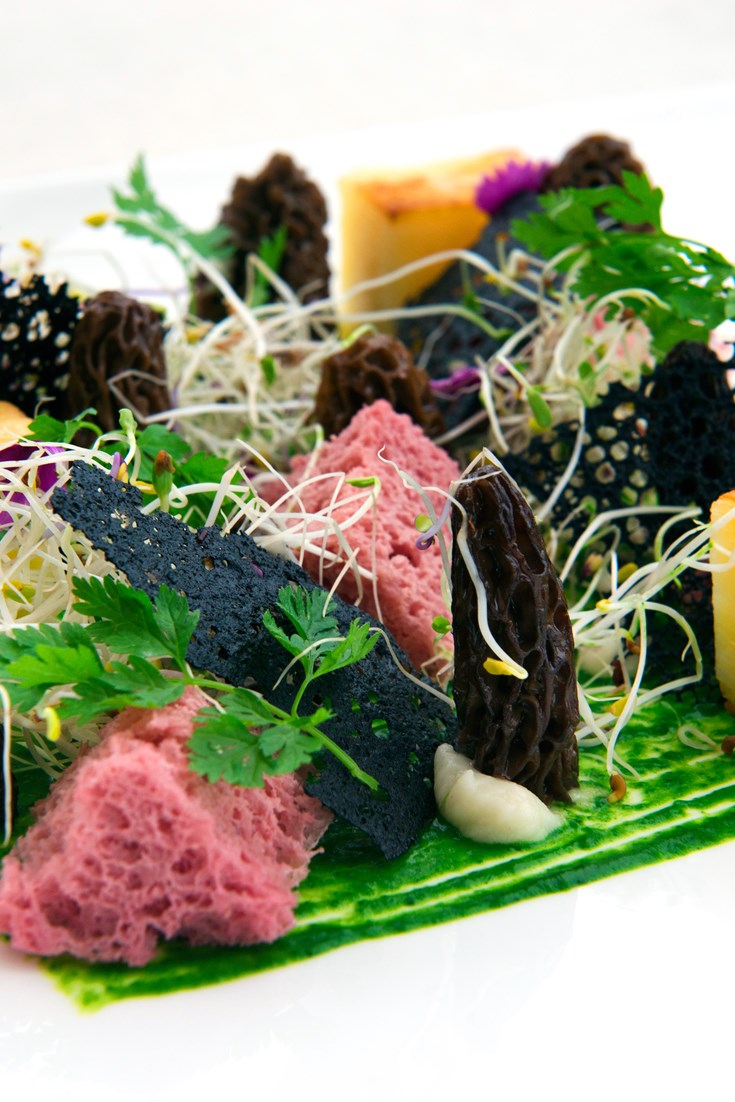 Morel Recipe with Salsify Purée Great Italian Chefs