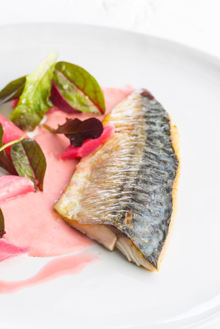 Mackerel with Rhubarb Recipe Great British Chefs