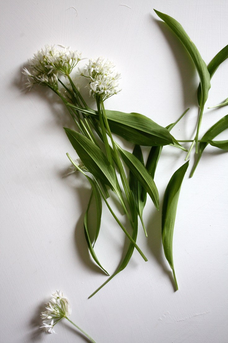 5 of the Best Wild Garlic Recipes Great British Chefs