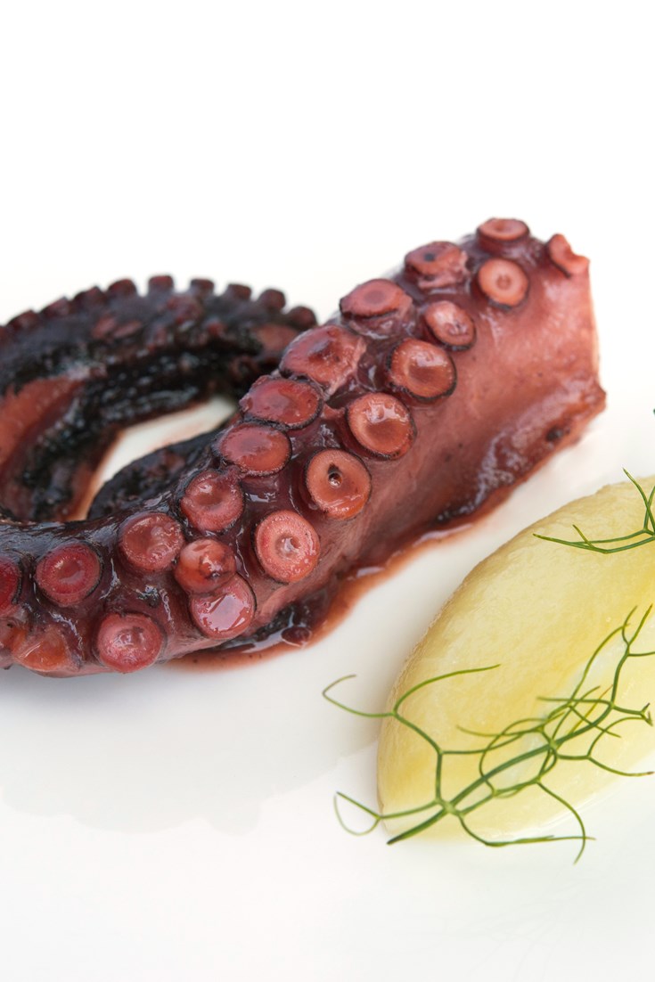 Braised Octopus Recipe with Pink Grapefruit Great Italian Chefs