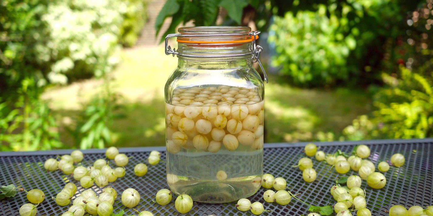 What Mixer Is Best With Gooseberry Gin at Daniel England blog