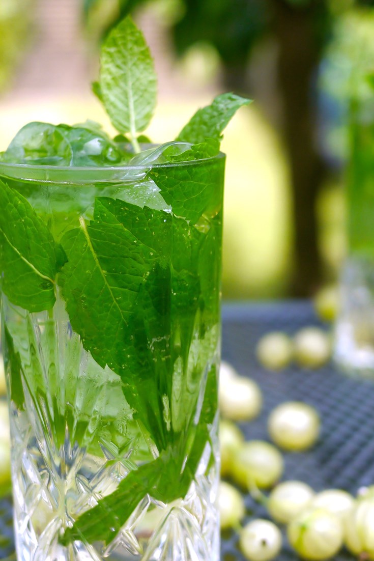 Gooseberry Gin Julep Recipe Great British Chefs