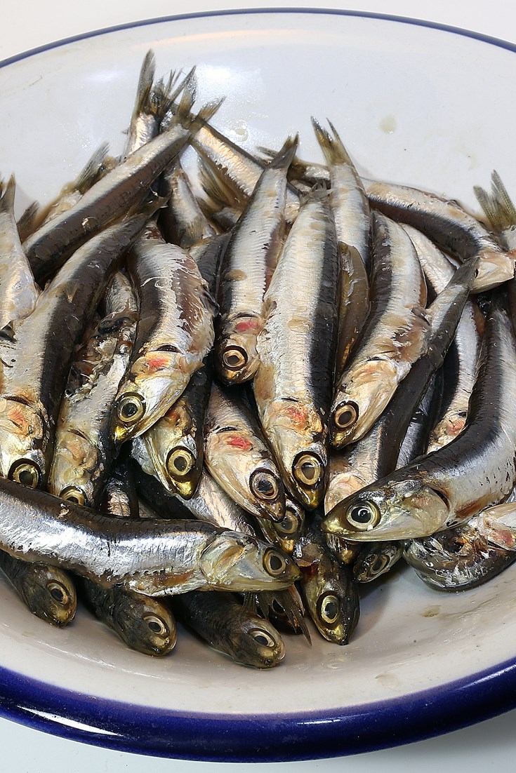 The Anchovies of Italy Great Italian Chefs