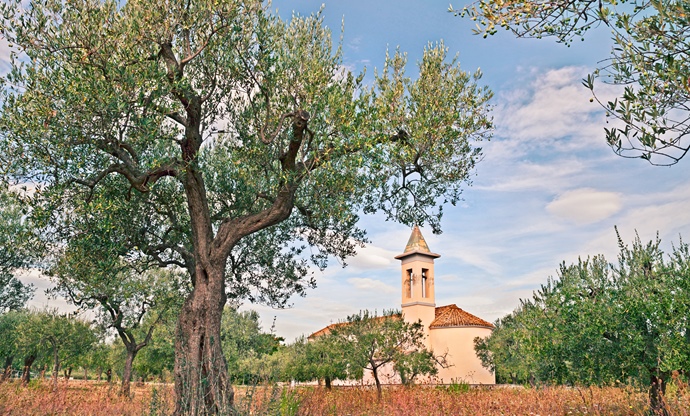 Abruzzo Food and Drink Guide - Great Italian Chefs