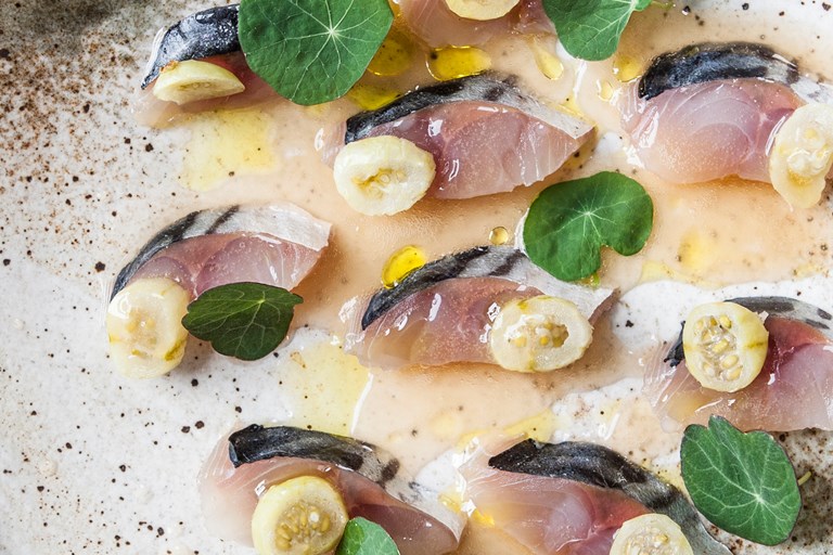 Cured Mackerel Recipe with Fermented Gooseberries Great British Chefs