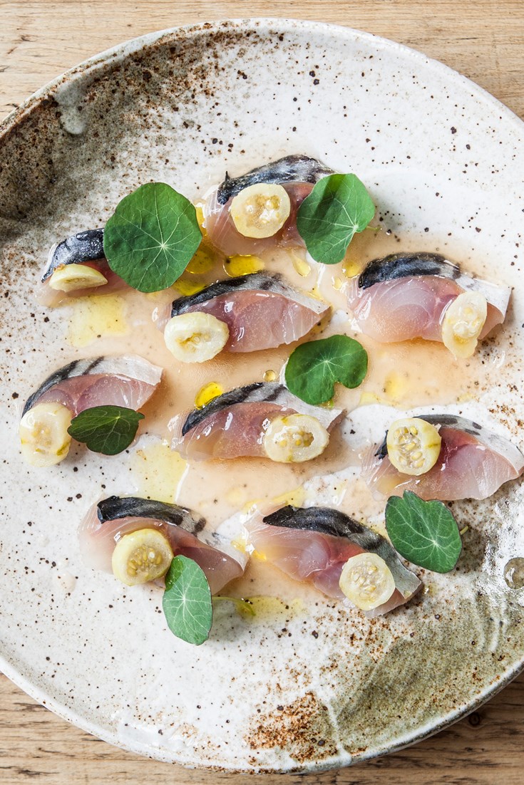 Cured Mackerel Recipe with Fermented Gooseberries Great British Chefs
