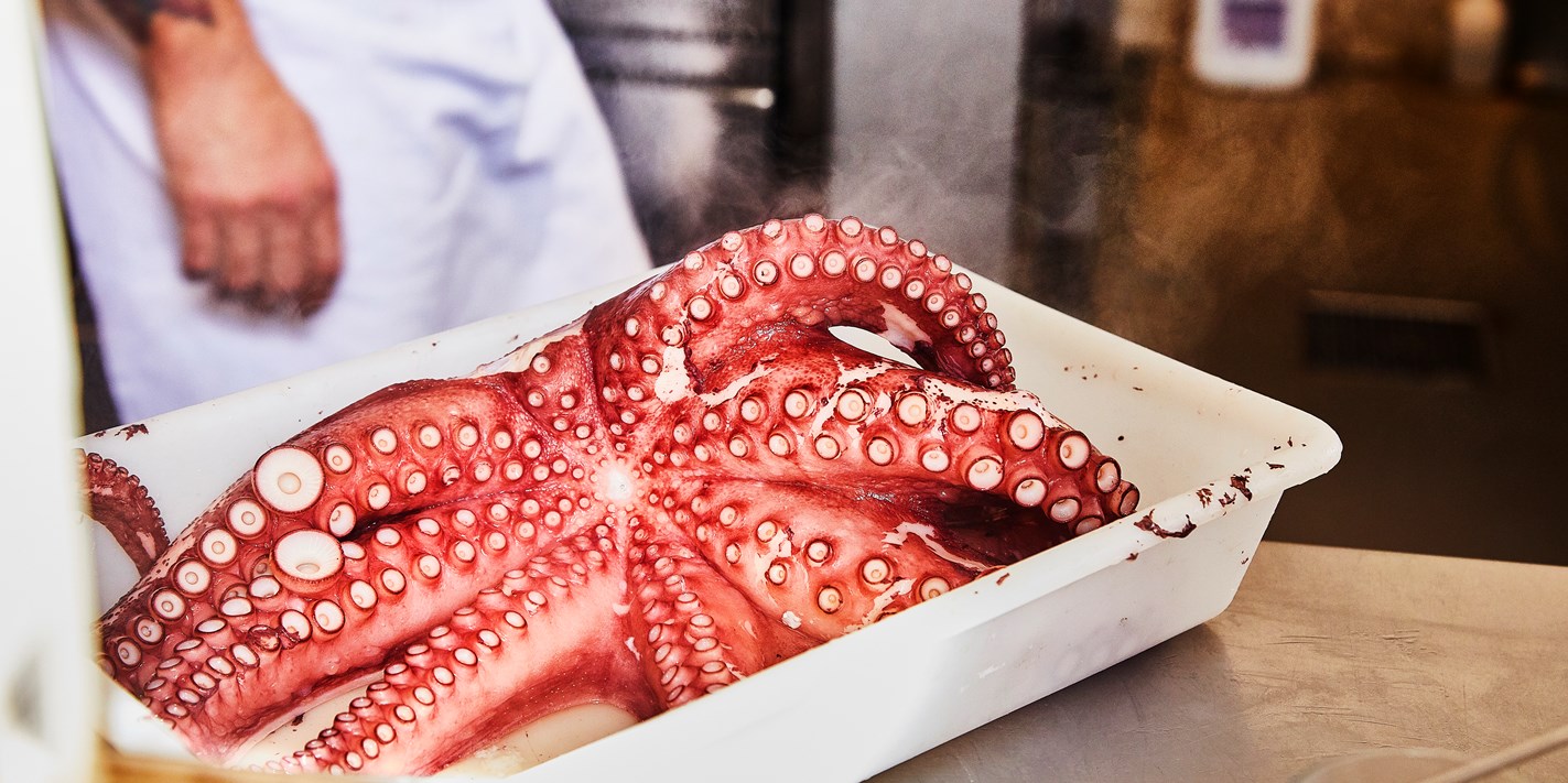 How To Cook Octopus Great British Chefs