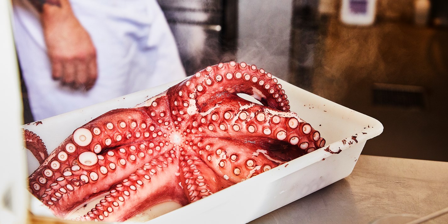 How To Cook Octopus Great British Chefs,Rum Runner Drink Menu