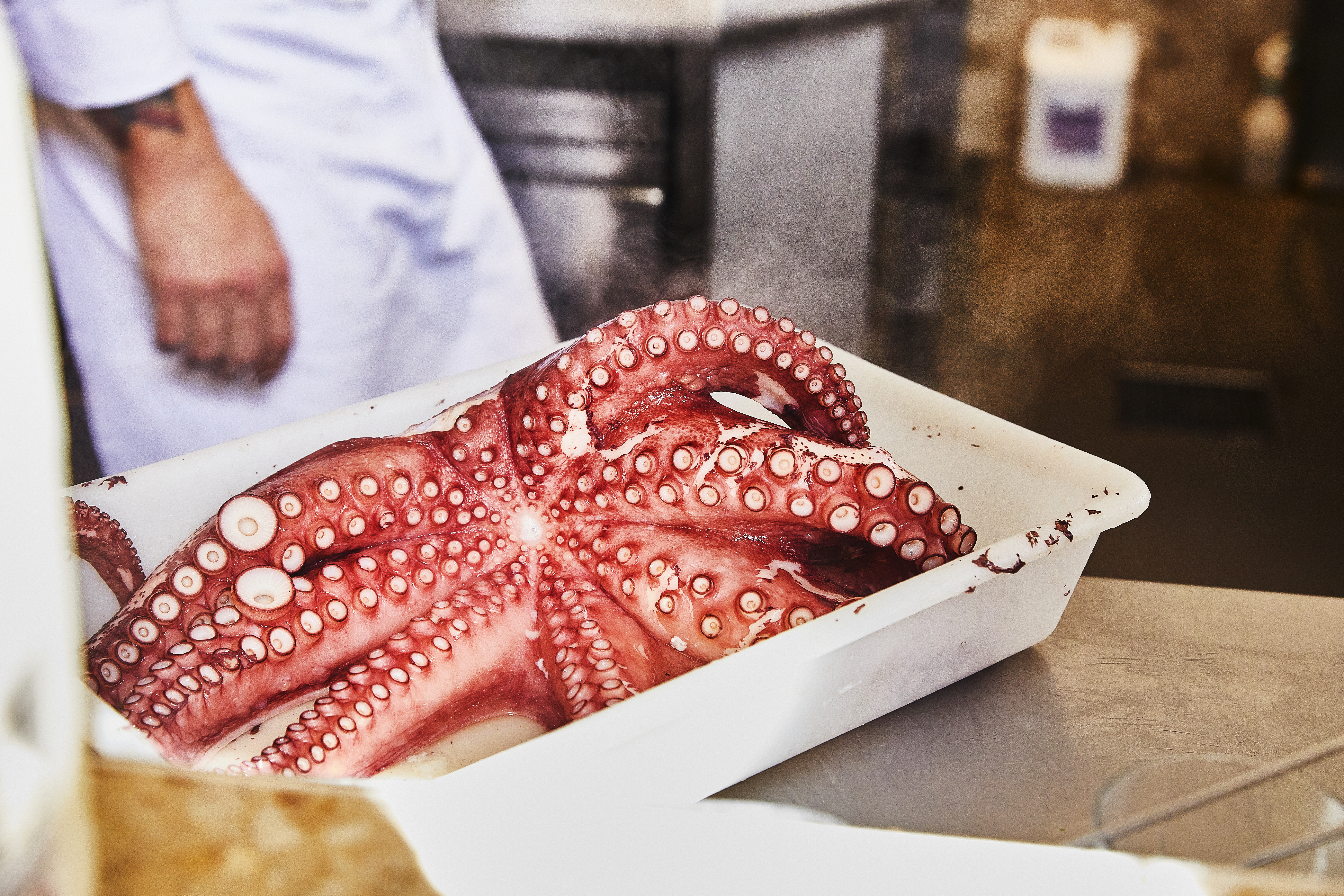 How To Cook Octopus Sous Vide Great British Chefs
