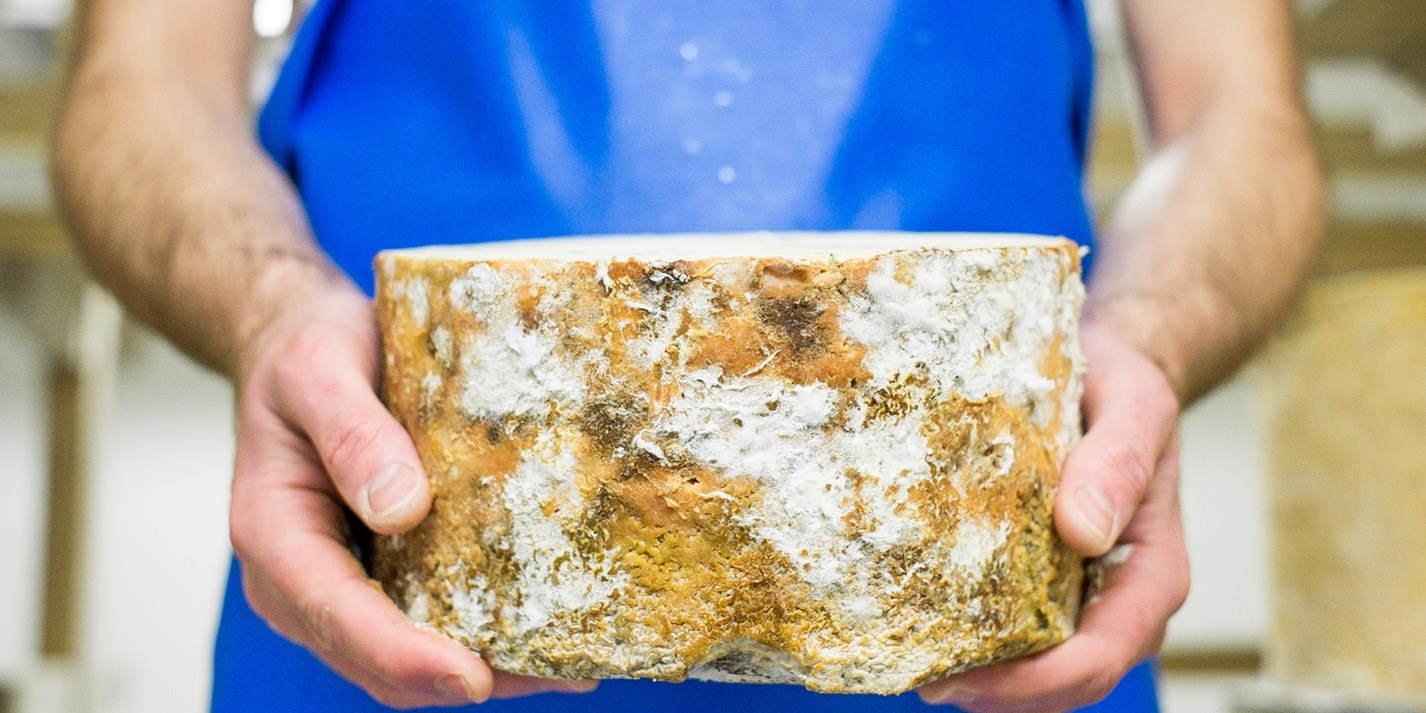 Northern Ireland’s Emerging Cheese Scene Great British Chefs
