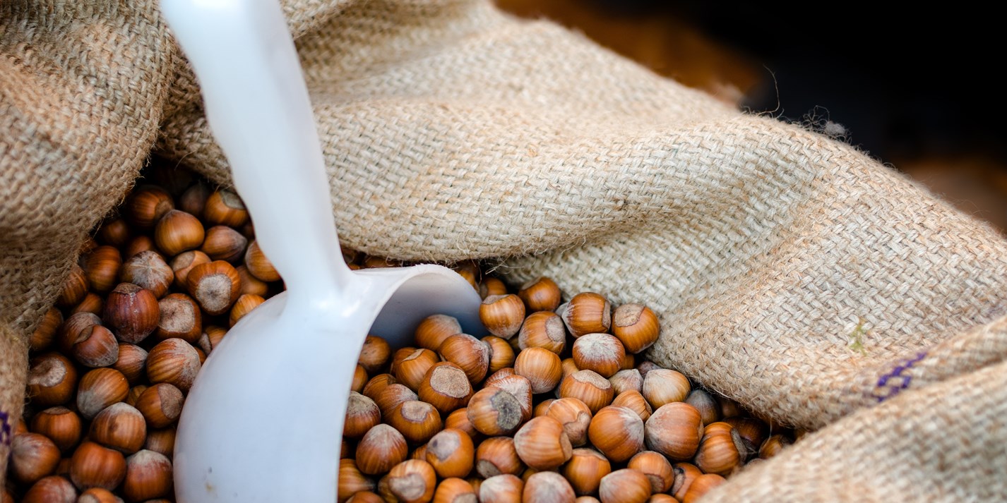 Nocciola del Piemonte IGP Piedmont's Hazelnuts Great Italian Chefs