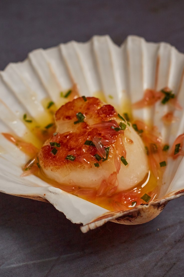 Scallop, Brown Butter, Pink Grapefruit and Tarragon Canapé Recipe