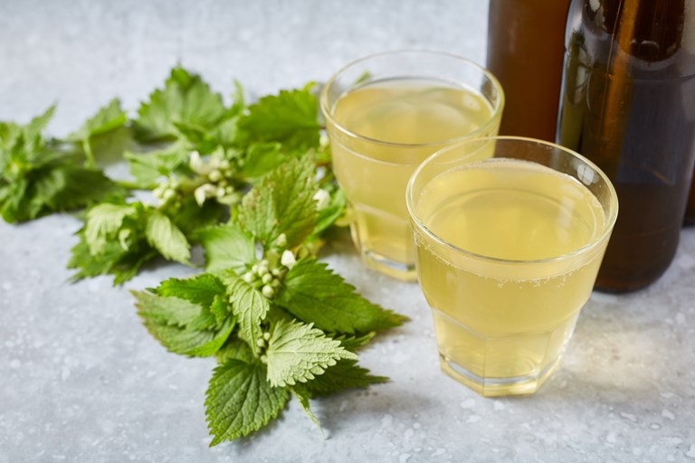 Nettle Beer Recipe Great British Chefs