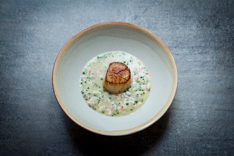 Scallop with smoked onion and razor clam