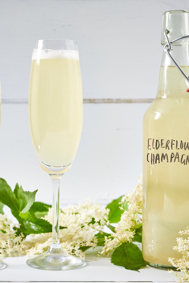 Elderflower Champagne Recipe Great British Chefs