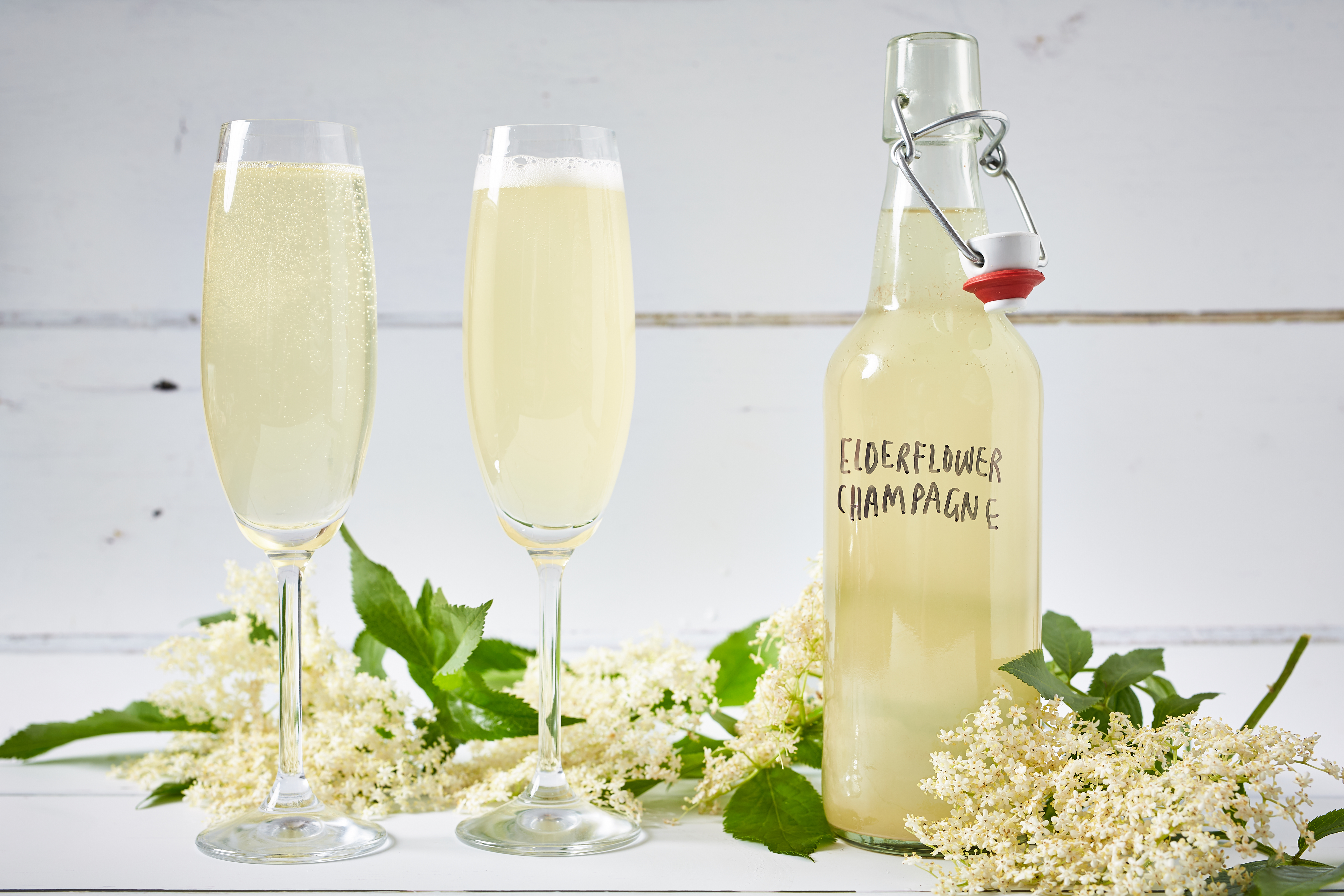 River Cottage Sparkling Elderflower Wine Recipe Dandk Organizer