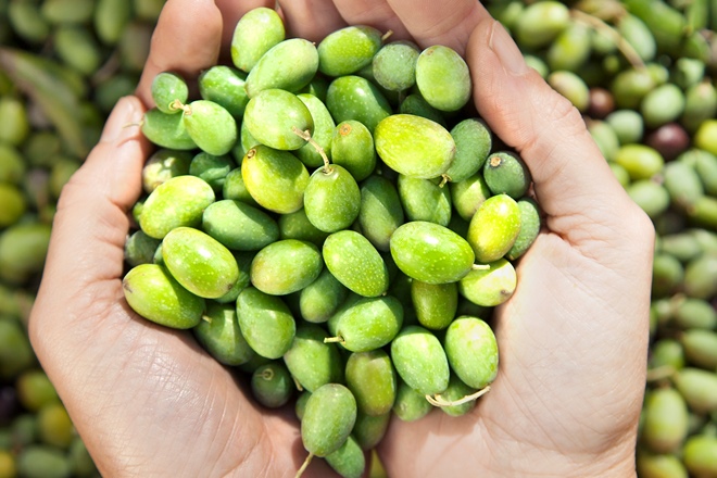 Olive oil explained: how to find the right bottle for you