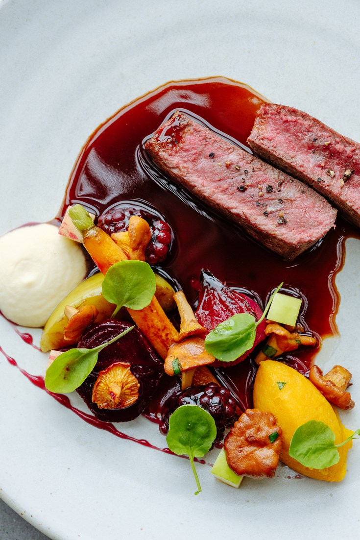 Venison with Roasted Root Vegetables and Red Wine Sauce Recipe Great