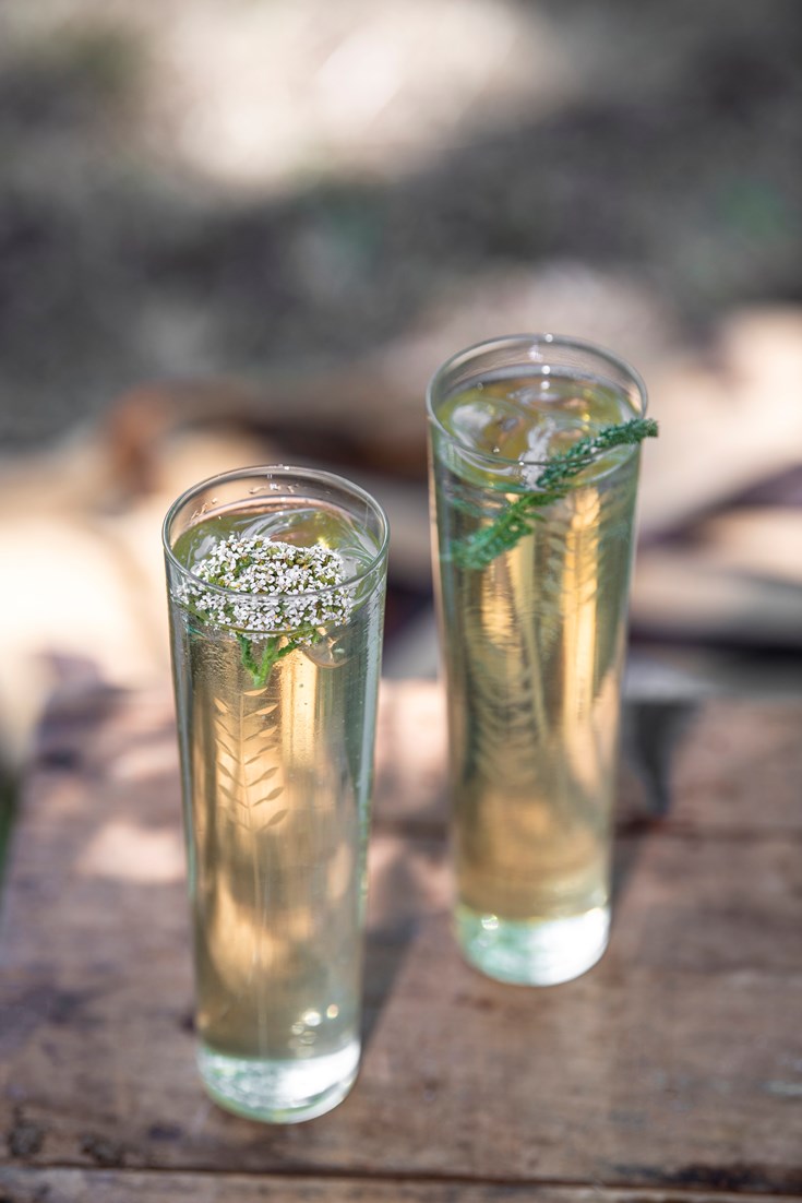 Foraged Tonic Water Recipe Great British Chefs